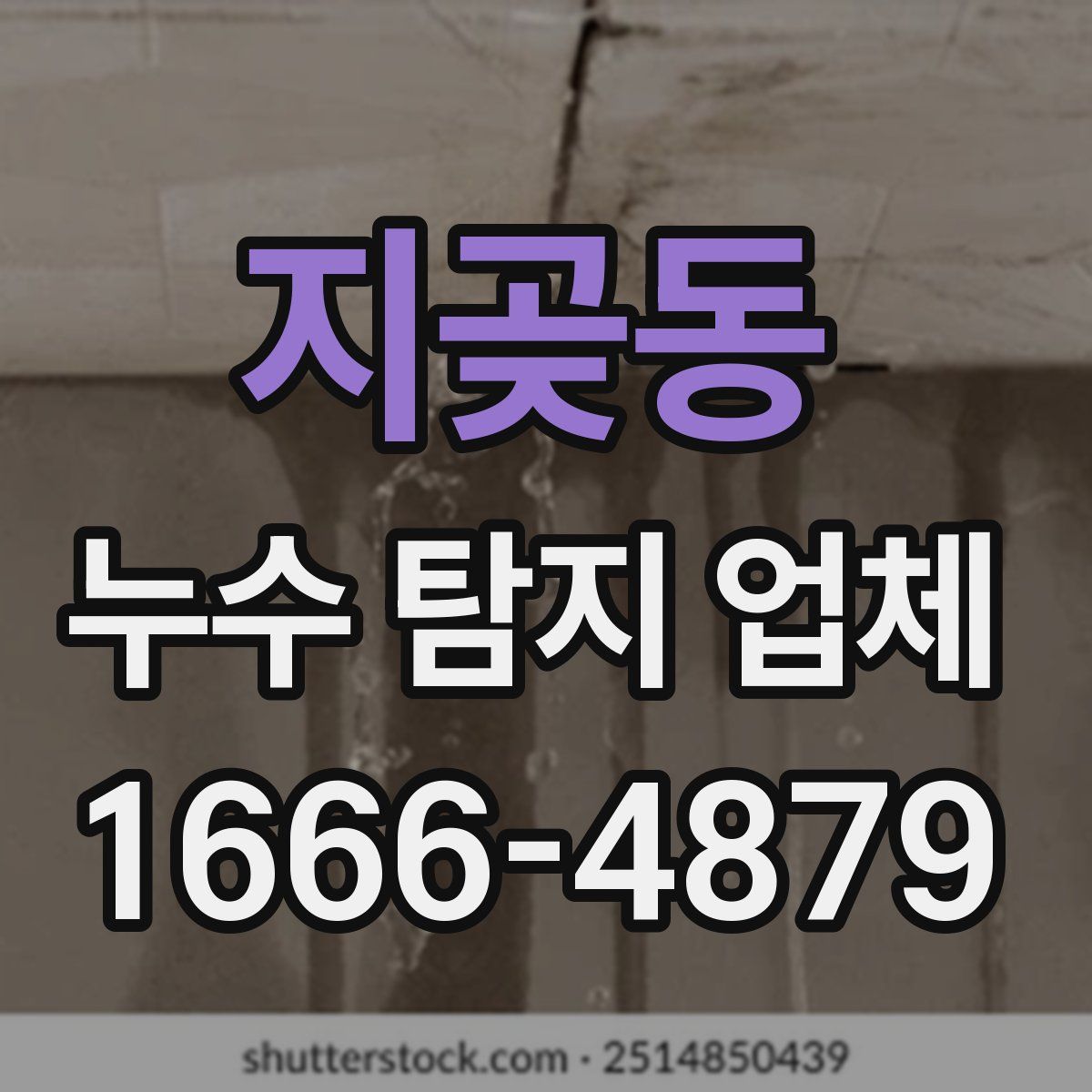 지곶동 누수 탐지 업체