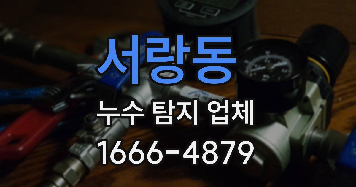 서랑동 누수 탐지 업체