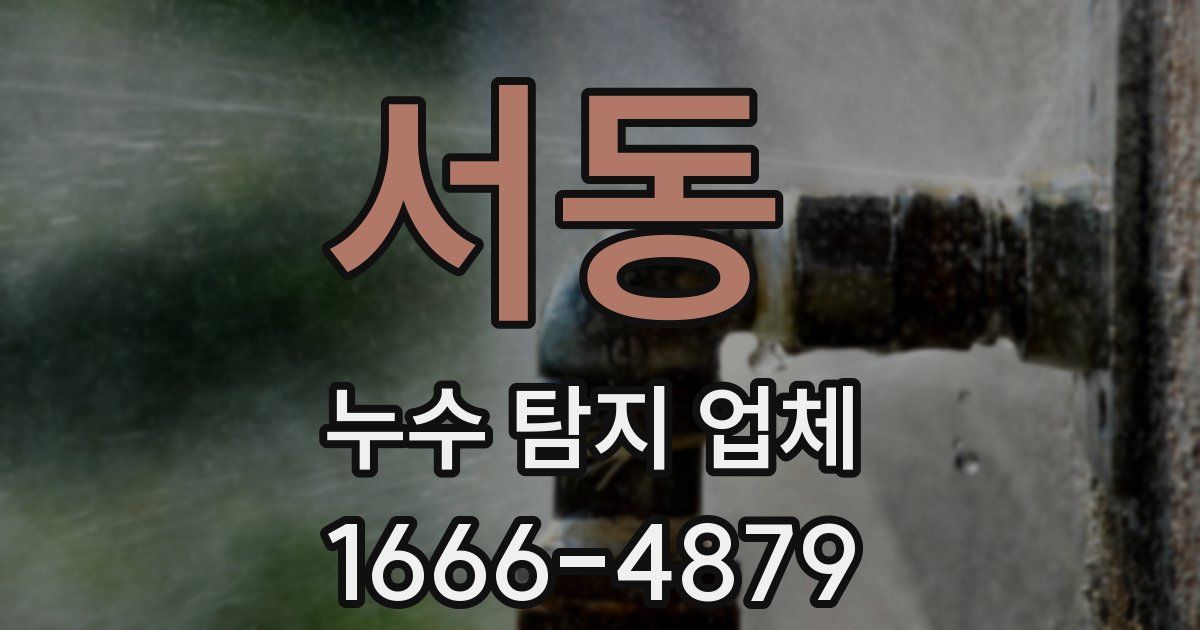 서동 누수 탐지 업체