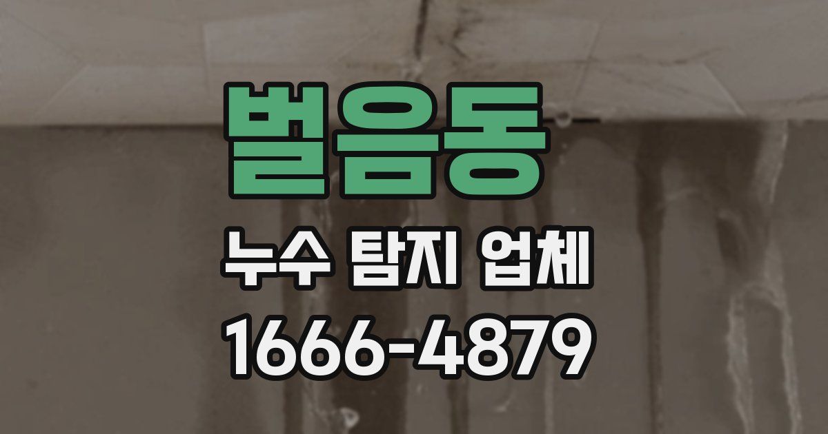 벌음동 누수 탐지 업체