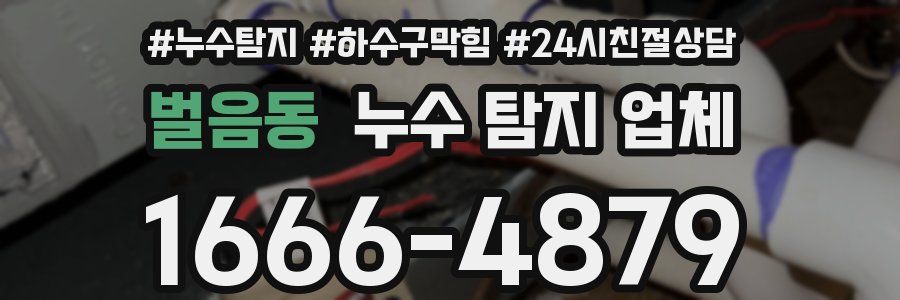 벌음동 누수 탐지 업체