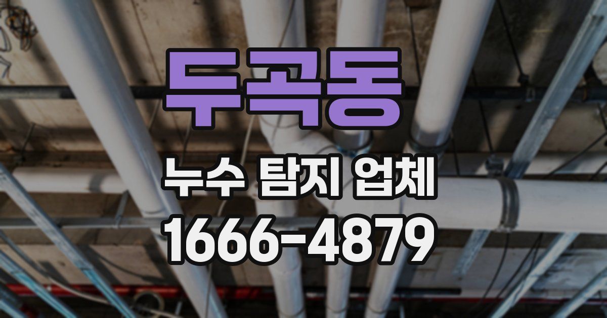두곡동 누수 탐지 업체