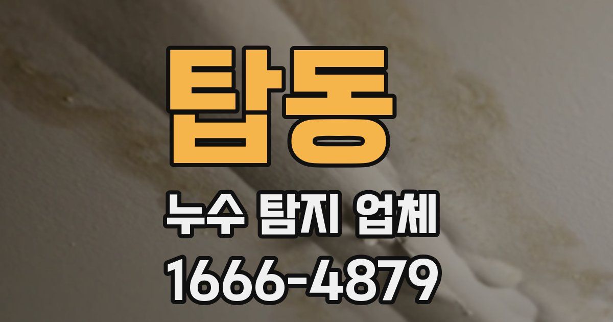 탑동 누수 탐지 업체