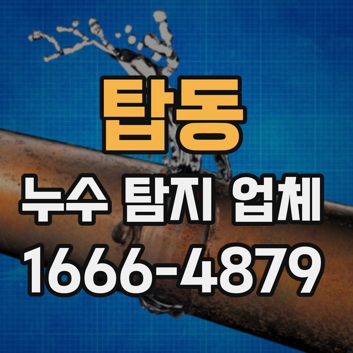 탑동 누수 탐지 업체
