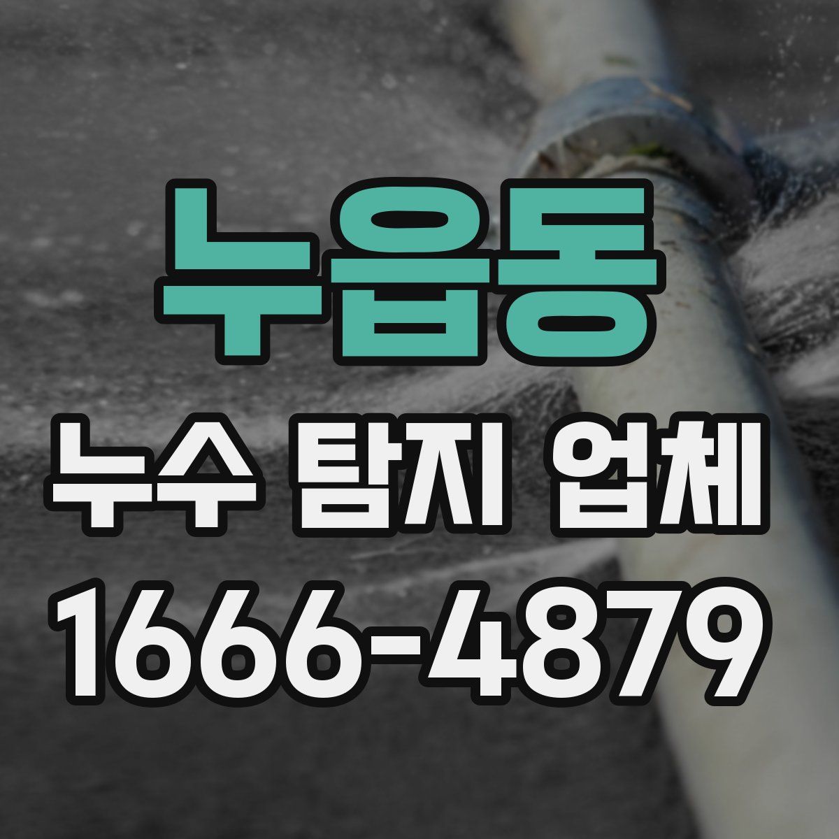 누읍동 누수 탐지 업체