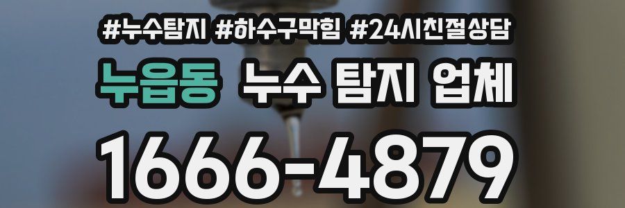 누읍동 누수 탐지 업체