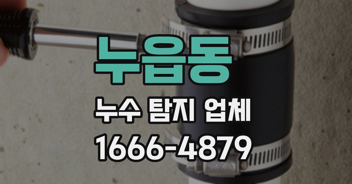 누읍동 누수 탐지 업체
