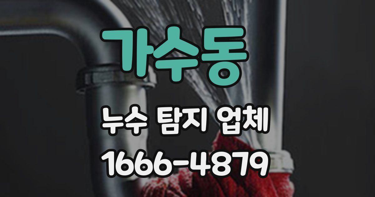 가수동 누수 탐지 업체