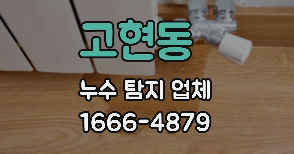고현동 누수 탐지 업체