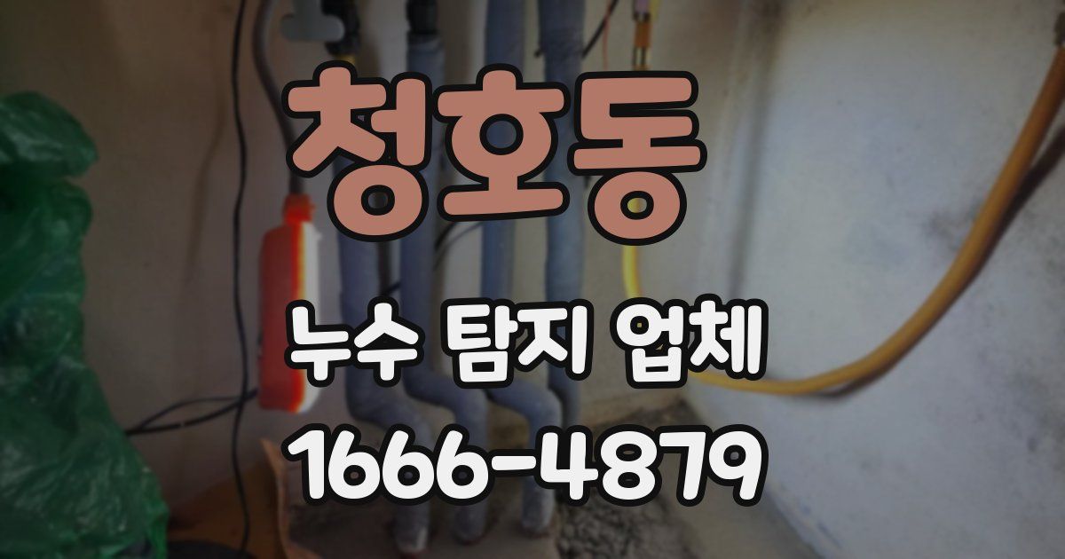 청호동 누수 탐지 업체