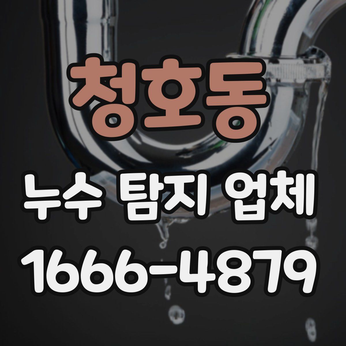 청호동 누수 탐지 업체