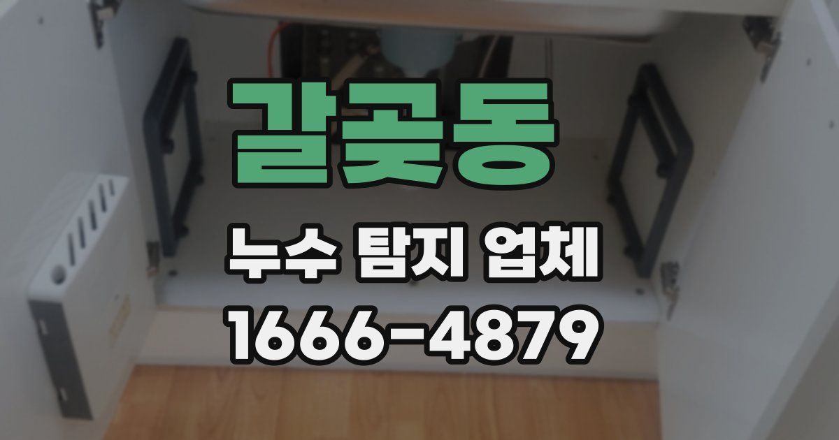 갈곶동 누수 탐지 업체