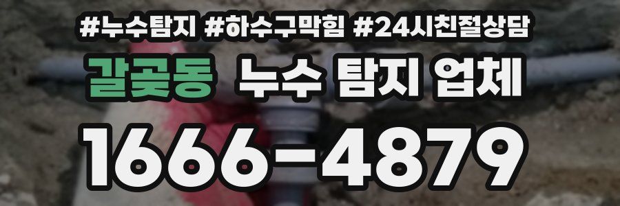 갈곶동 누수 탐지 업체