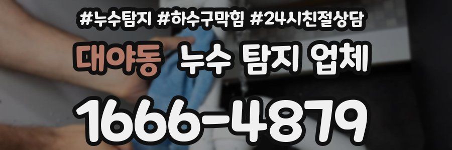 대야동 누수 탐지 업체