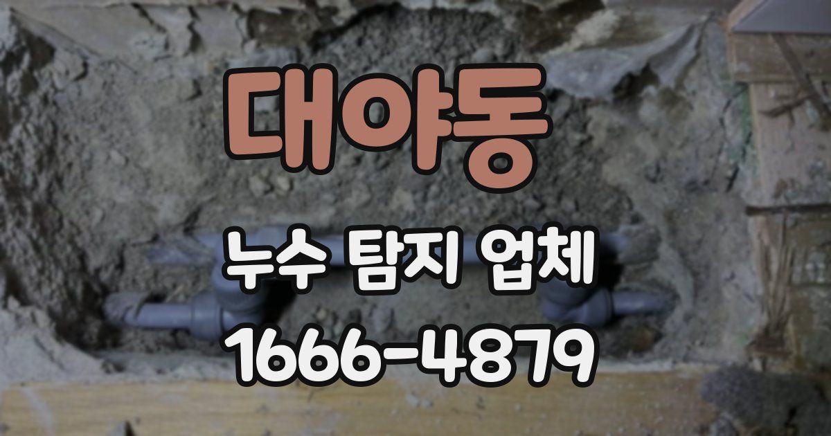 대야동 누수 탐지 업체