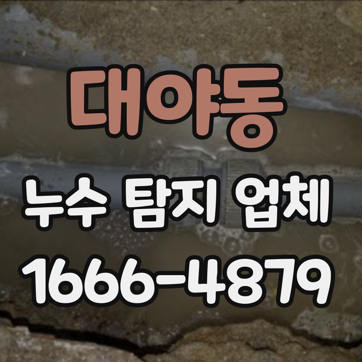대야동 누수 탐지 업체