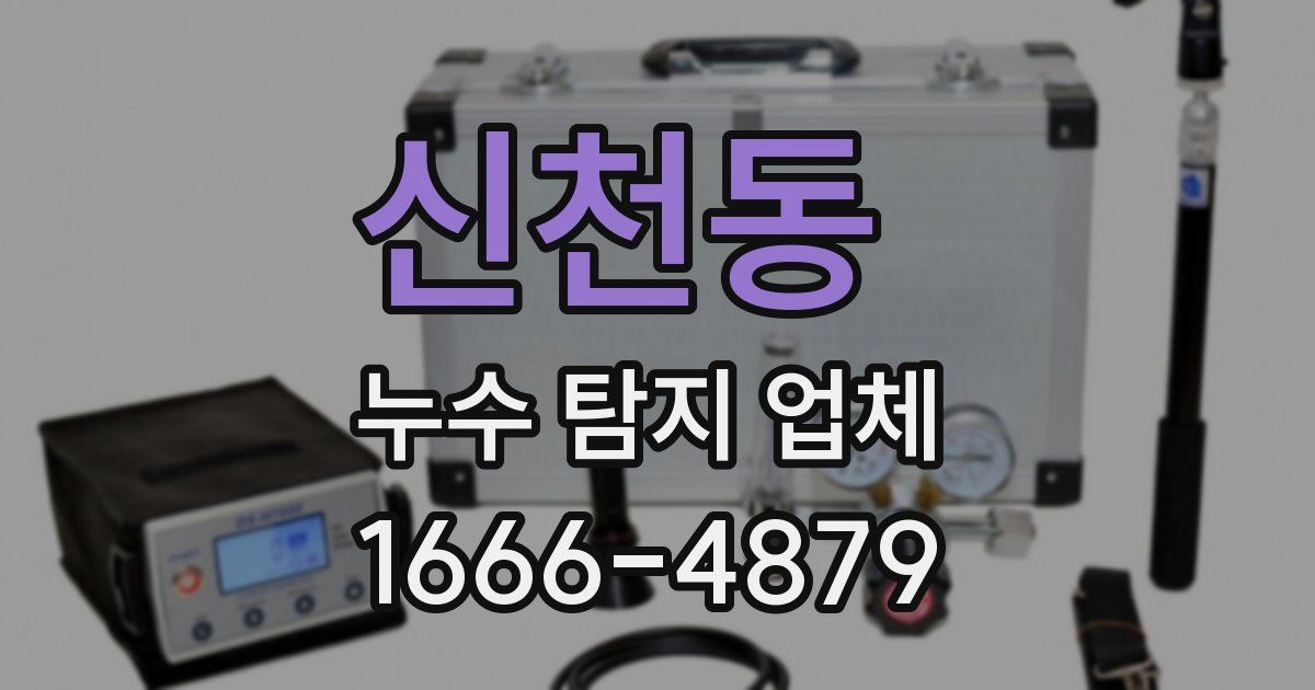 신천동 누수 탐지 업체