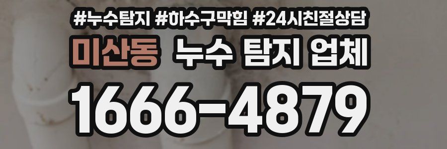 미산동 누수 탐지 업체