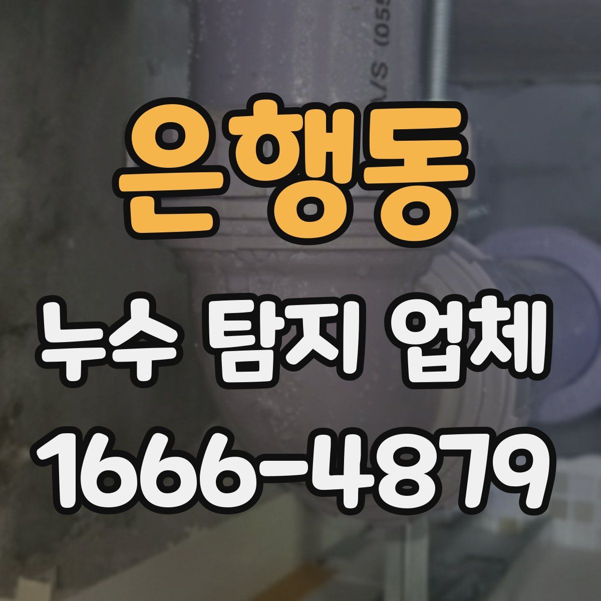 은행동 누수 탐지 업체