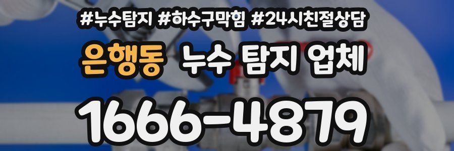 은행동 누수 탐지 업체