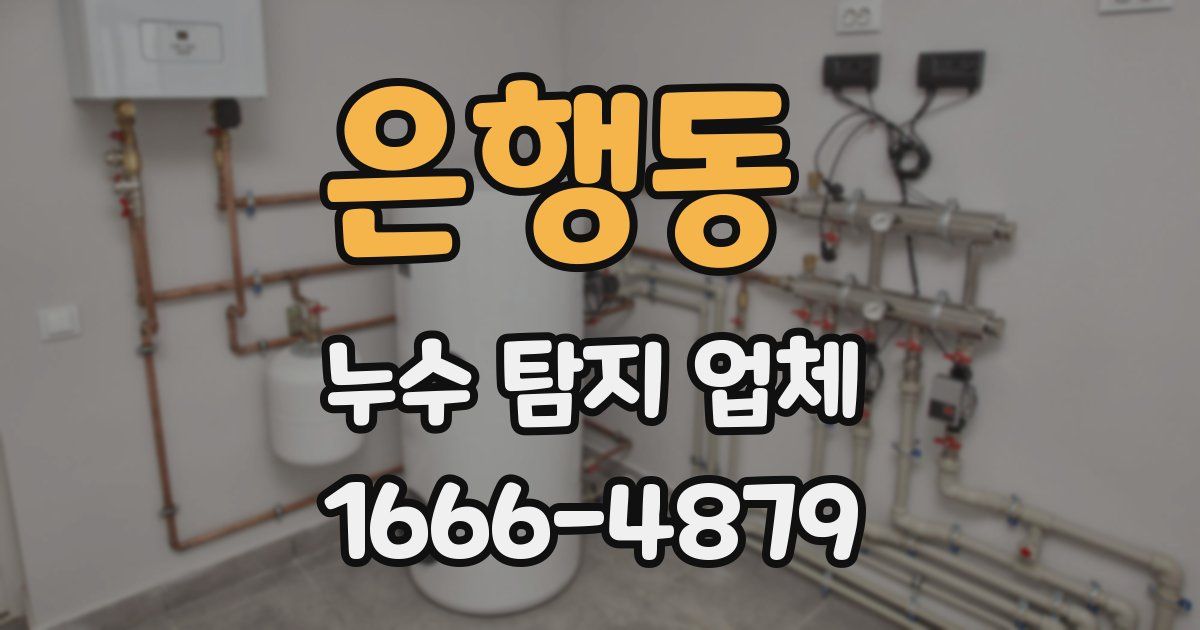 은행동 누수 탐지 업체