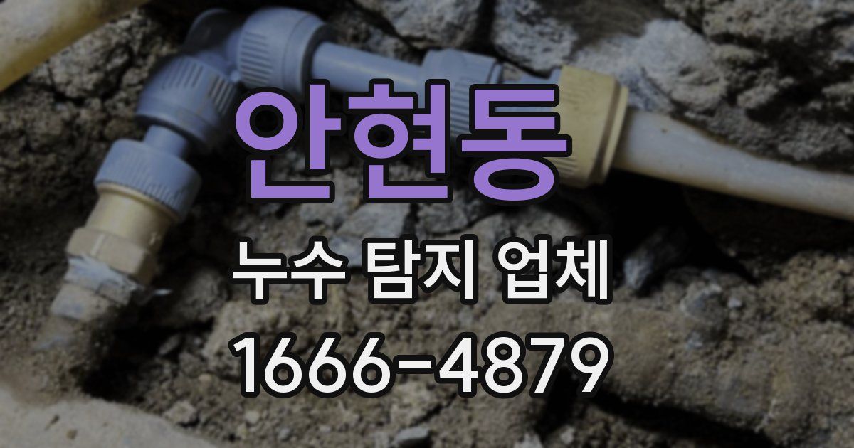 안현동 누수 탐지 업체