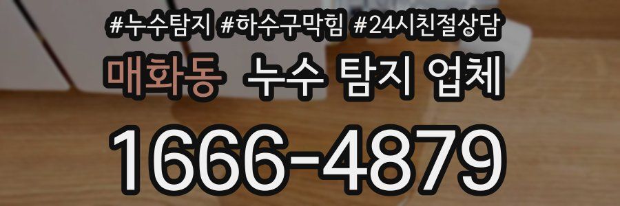매화동 누수 탐지 업체