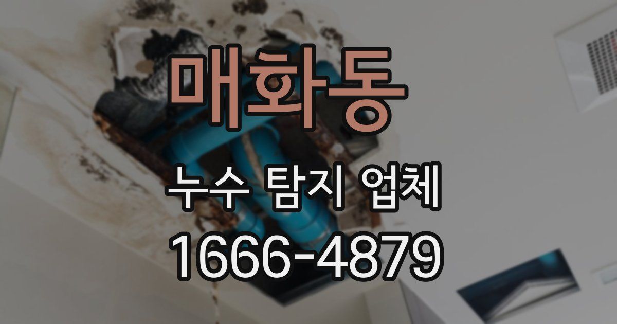매화동 누수 탐지 업체