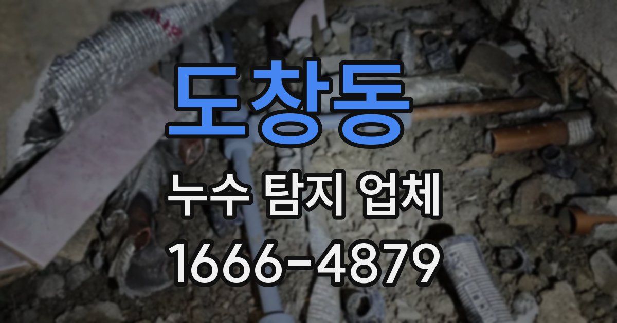 도창동 누수 탐지 업체