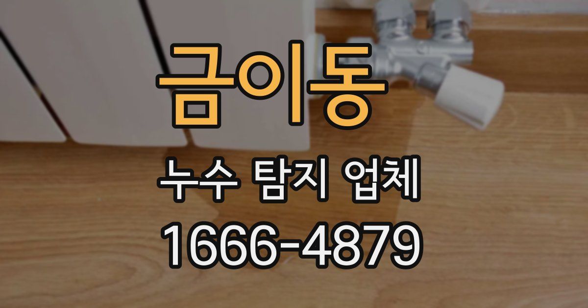 금이동 누수 탐지 업체