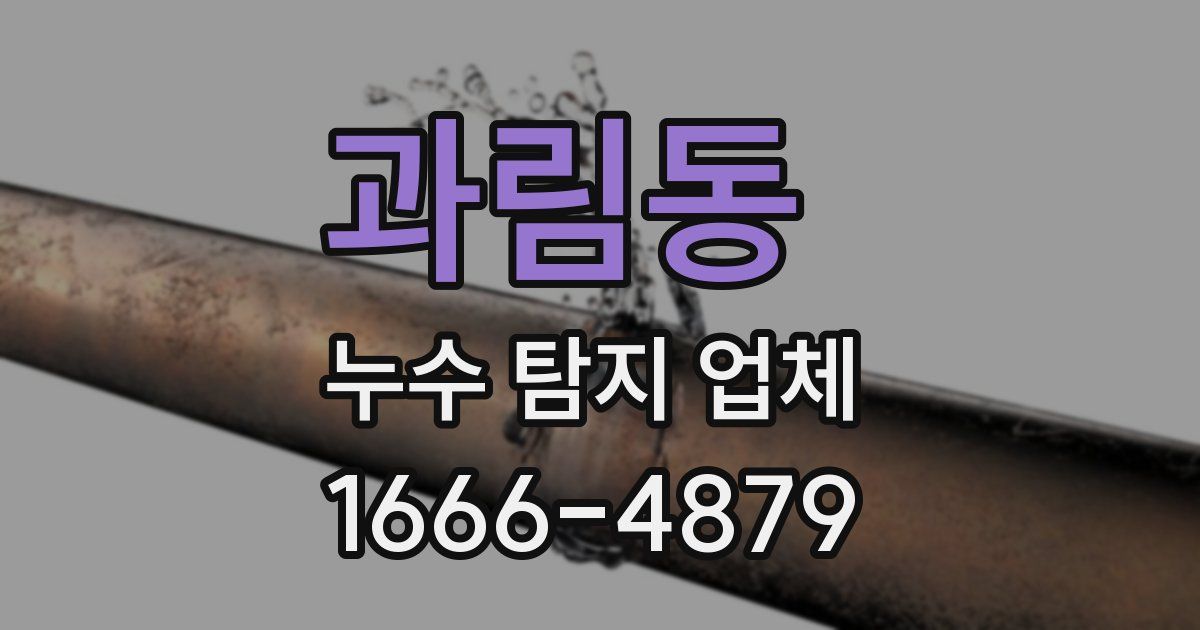 과림동 누수 탐지 업체