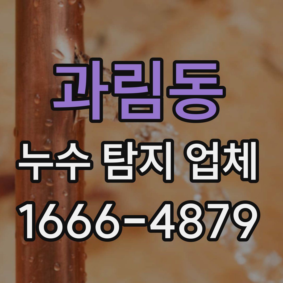 과림동 누수 탐지 업체