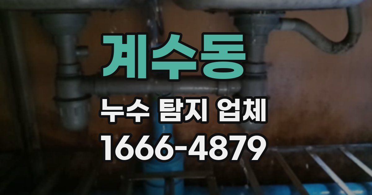 계수동 누수 탐지 업체