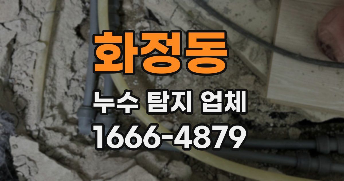 화정동 누수 탐지 업체