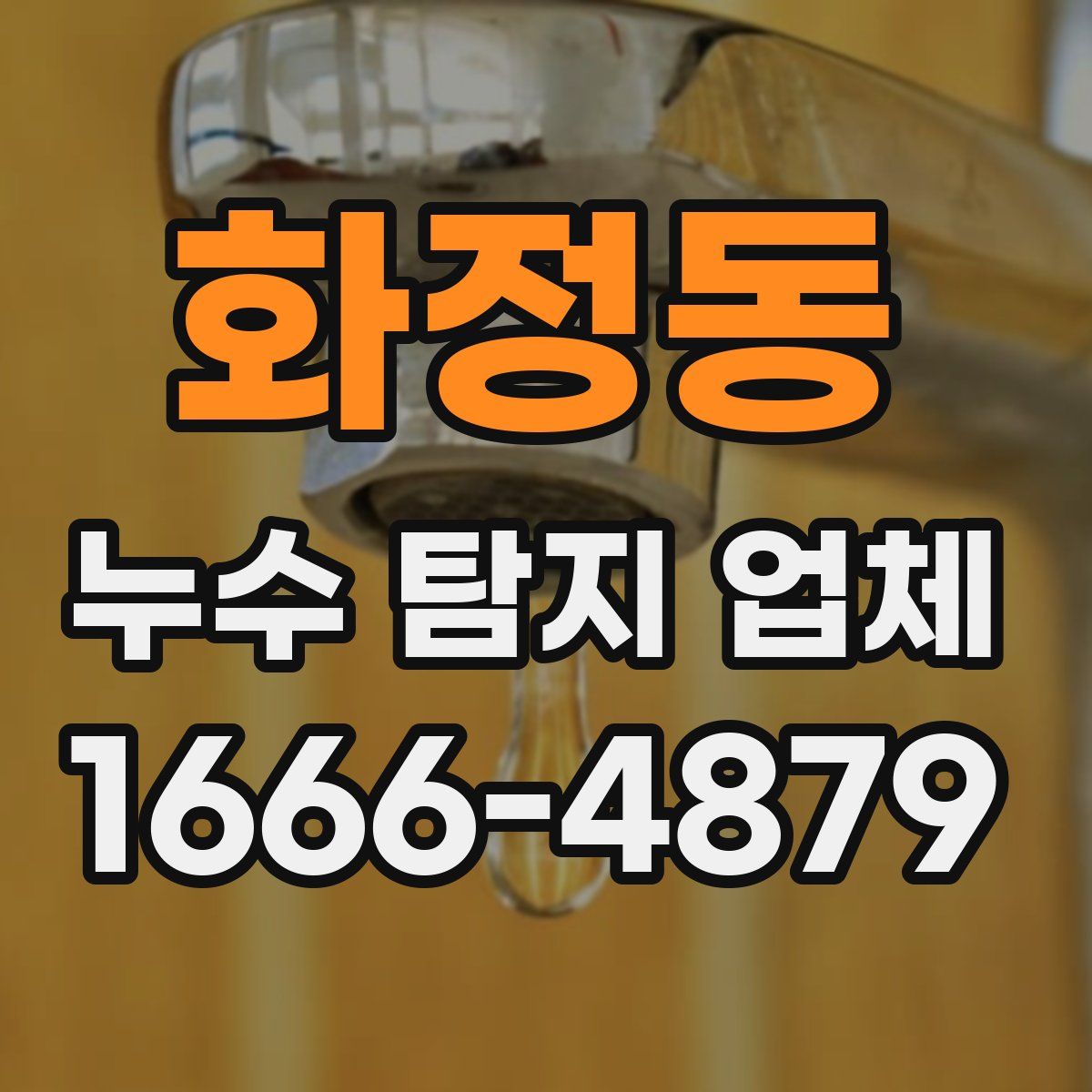 화정동 누수 탐지 업체
