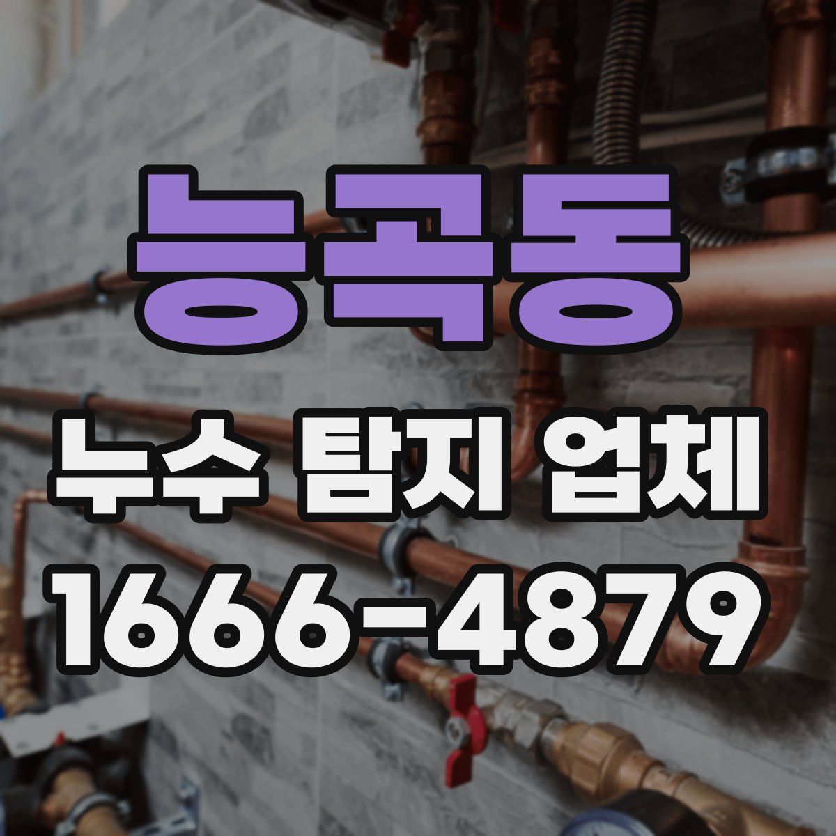 능곡동 누수 탐지 업체