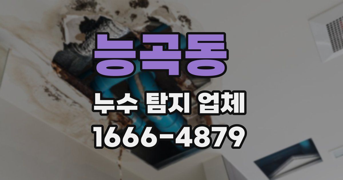 능곡동 누수 탐지 업체