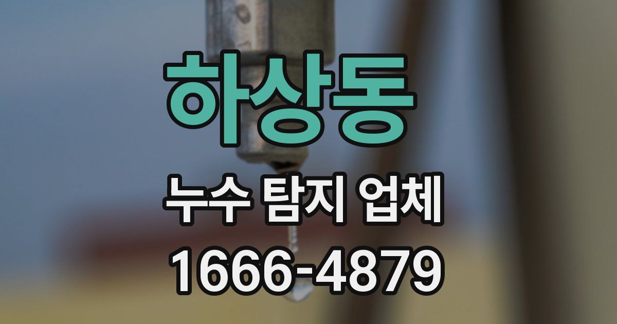 하상동 누수 탐지 업체