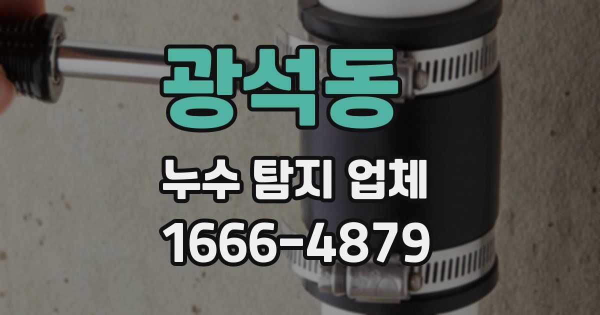 광석동 누수 탐지 업체