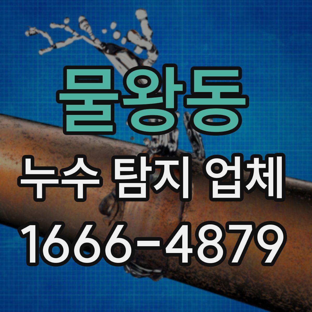 물왕동 누수 탐지 업체