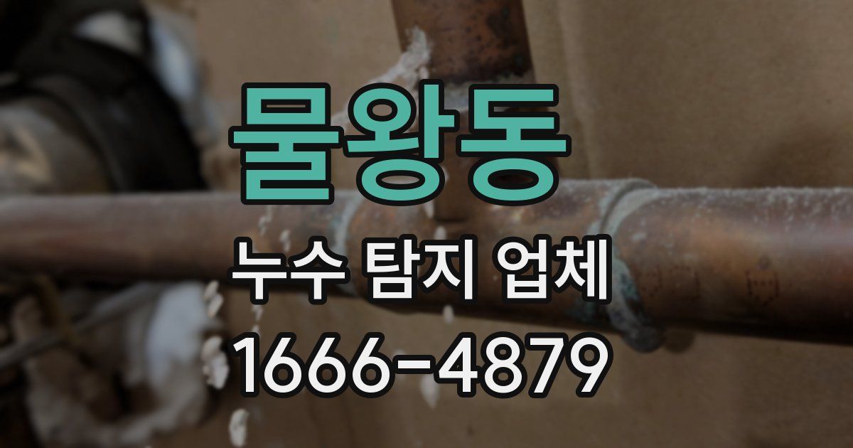 물왕동 누수 탐지 업체
