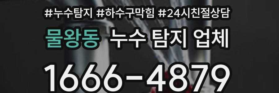 물왕동 누수 탐지 업체