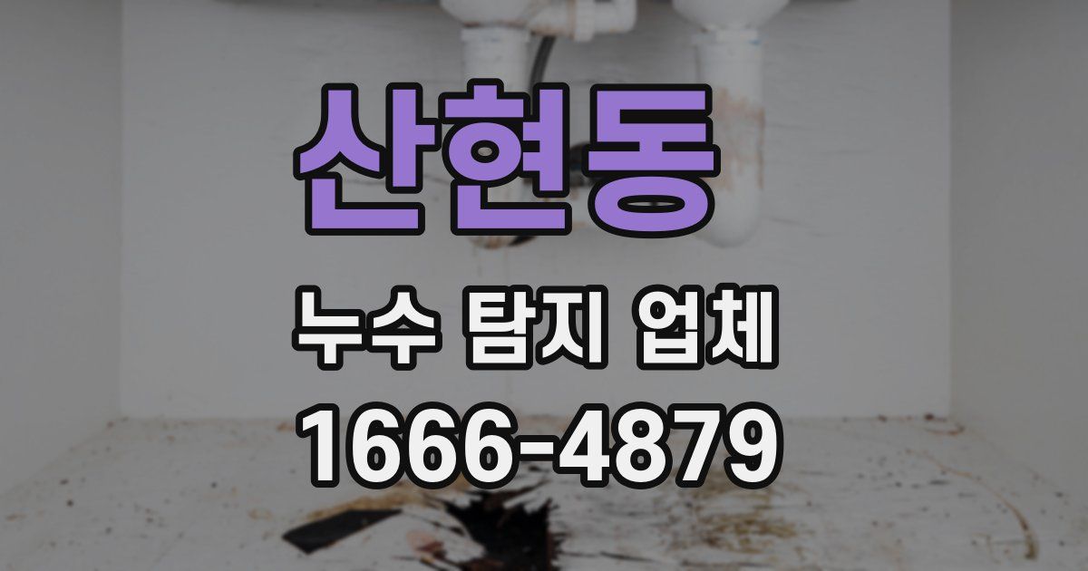 산현동 누수 탐지 업체
