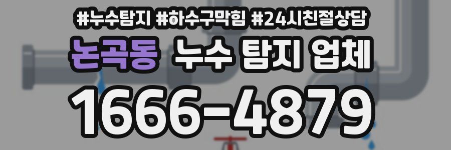 논곡동 누수 탐지 업체