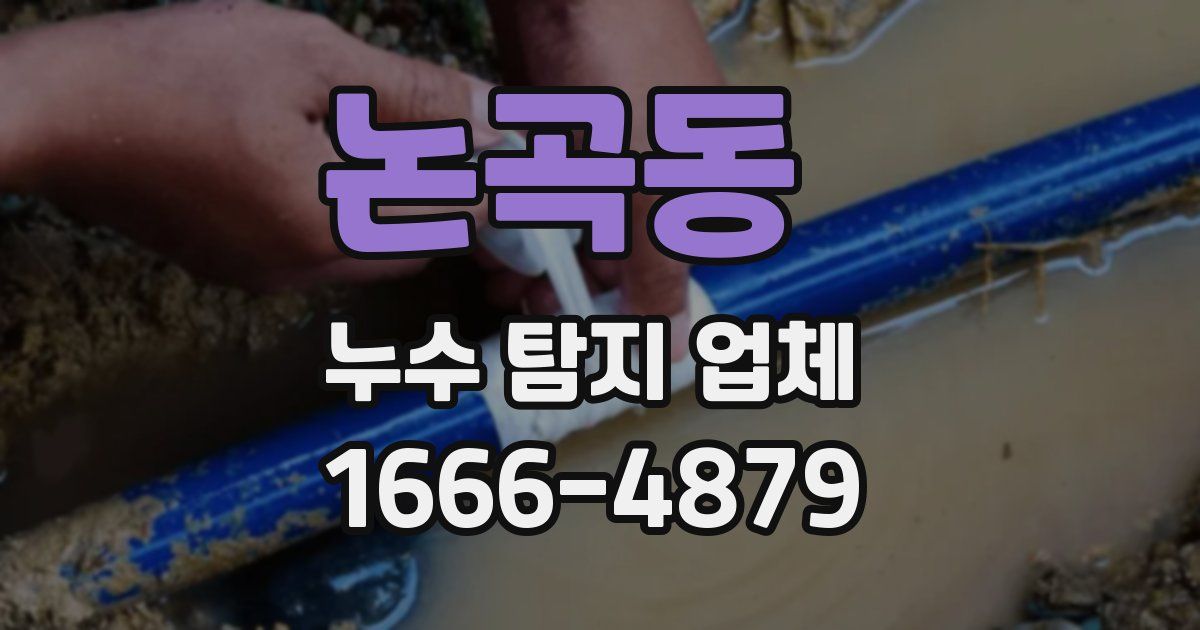 논곡동 누수 탐지 업체