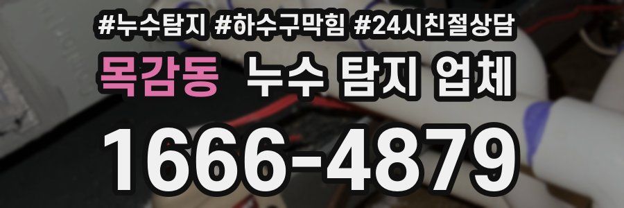 목감동 누수 탐지 업체