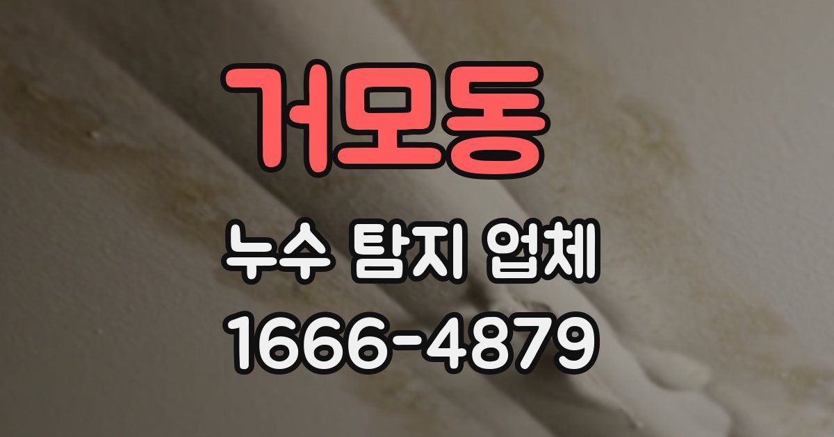 거모동 누수 탐지 업체