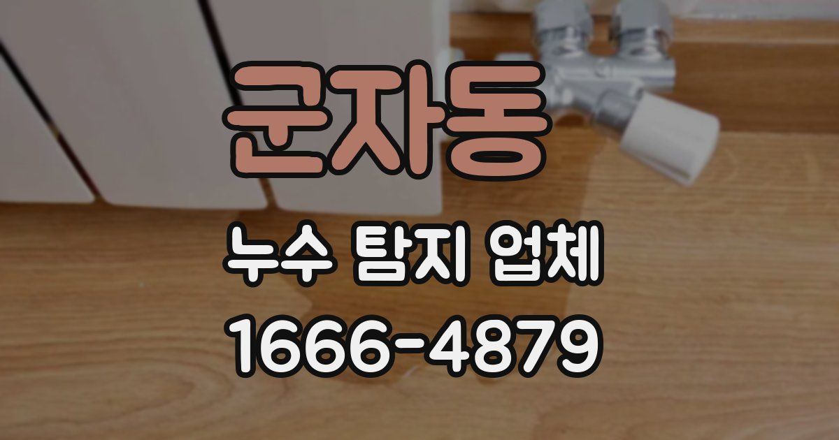 군자동 누수 탐지 업체