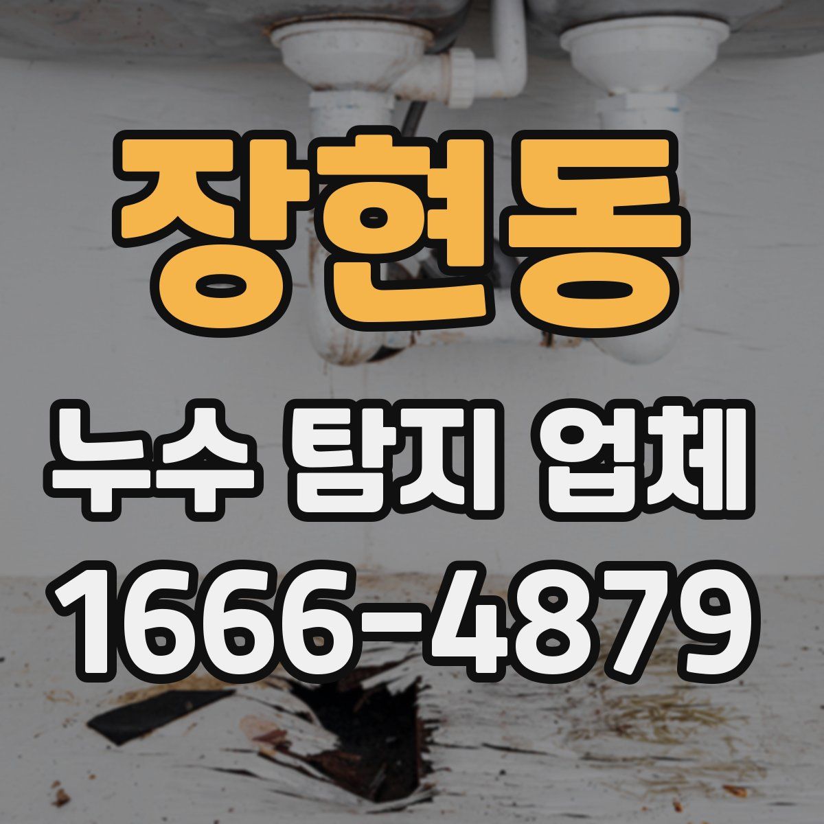 장현동 누수 탐지 업체