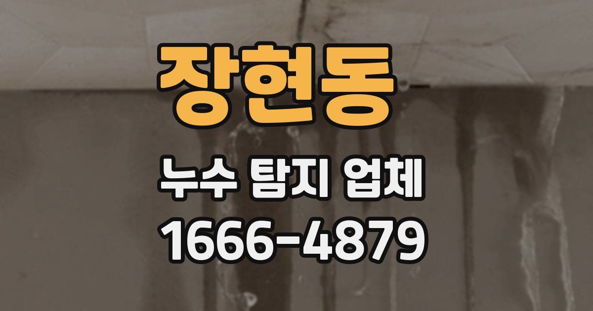 장현동 누수 탐지 업체